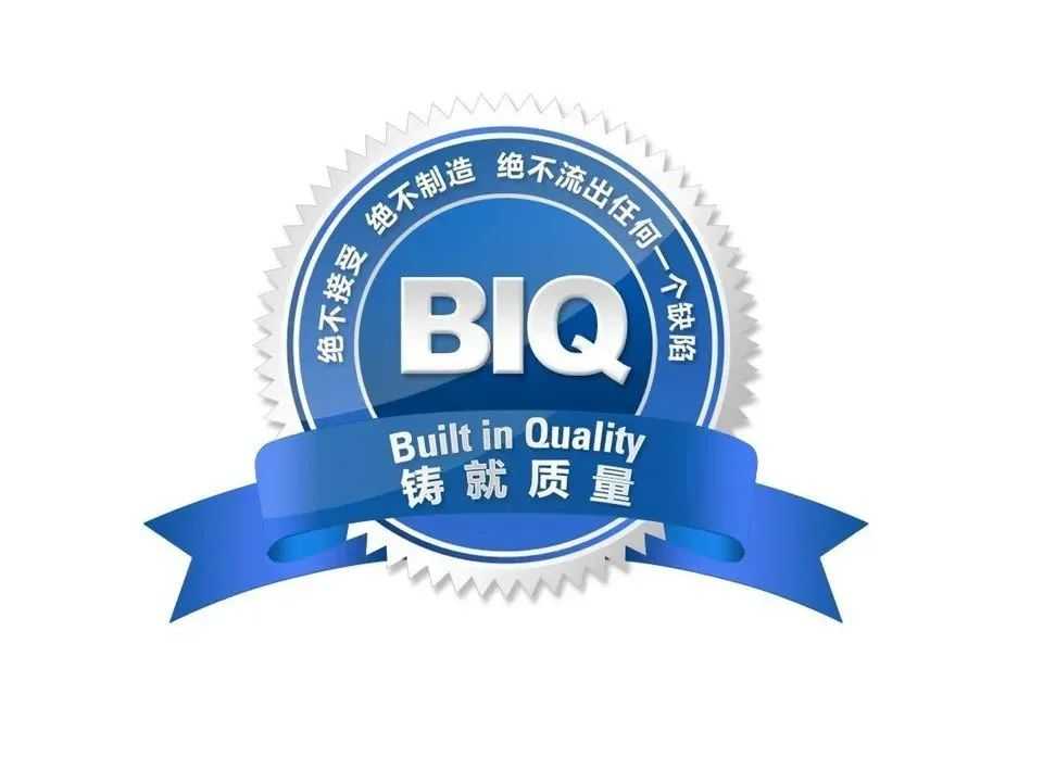 信息量超大的BIQ