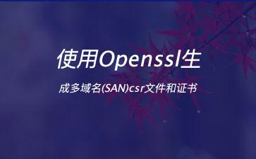 使用Openssl生成多域名(SAN)csr文件和证书"