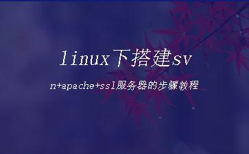 linux下搭建svn+apache+ssl服务器的步骤教程"