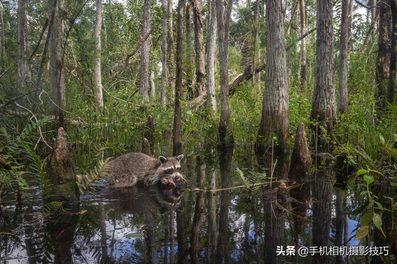 聊一张刷爆网络的照片：它背后的来源应该被更多人知道