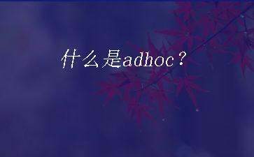 什么是adhoc？"