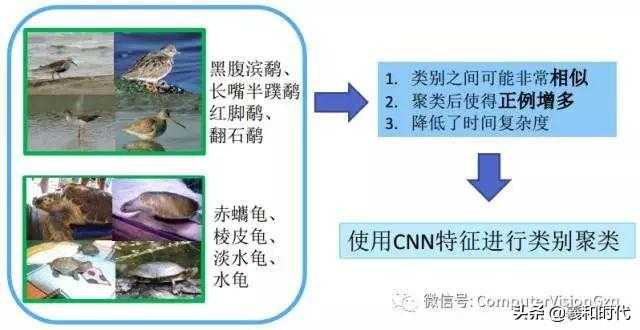 稀疏&集成的卷积神经网络学习