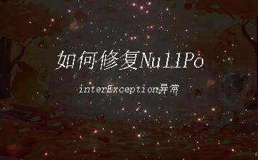 如何修复NullPointerException异常"