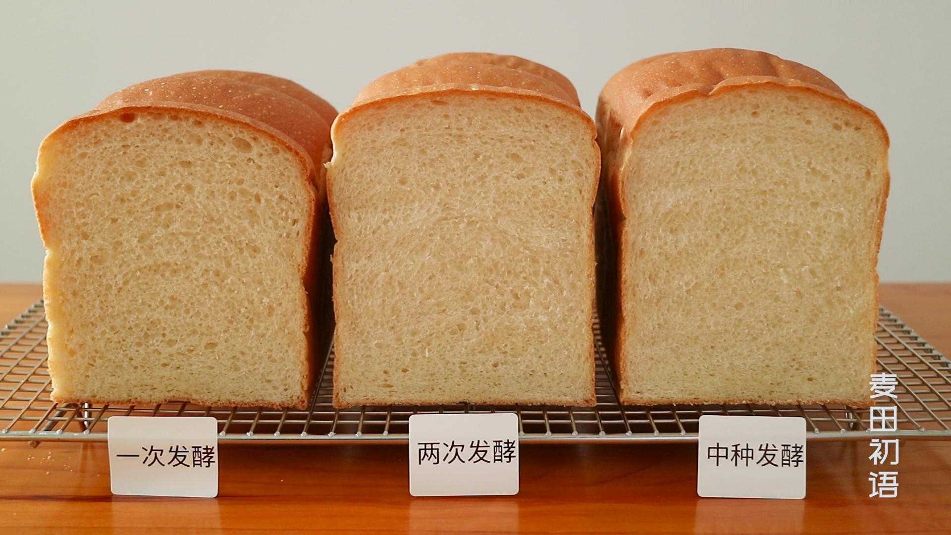 面包的一次发酵、两次发酵、中种发酵，它们究竟有什么区别？