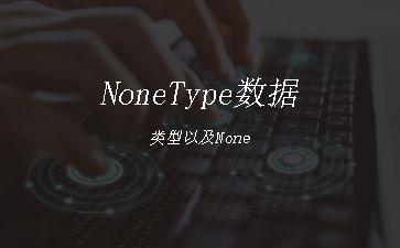 NoneType数据类型以及None"