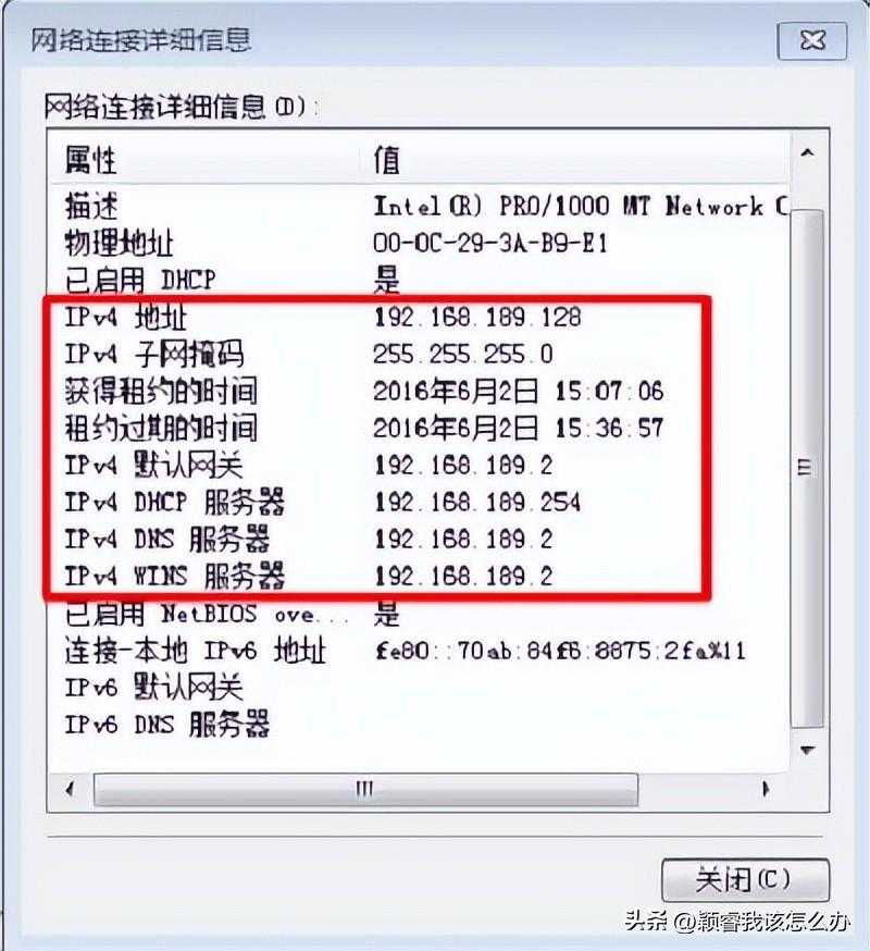 【电脑知识】怎么查看自己电脑ip地址?