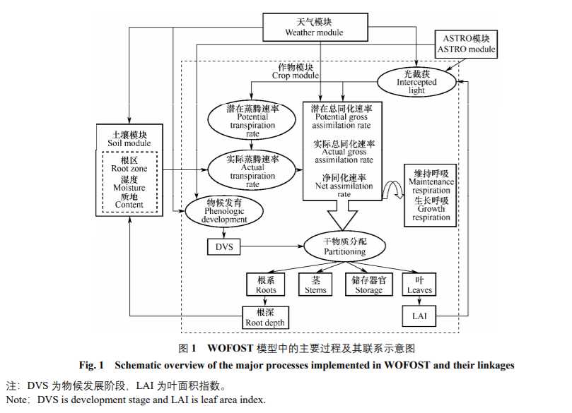 作物生长模型的应用研究