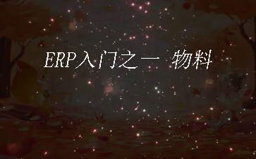 ERP入门之一