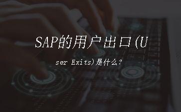 SAP的用户出口(User