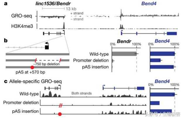 Nature：lncRNA竟然不依赖于序列起作用！