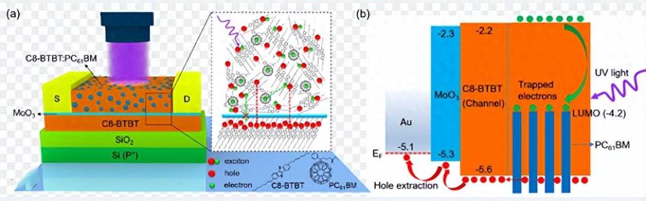 高性能钙钛矿光电探测器的研究与制备
