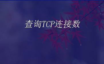 查询TCP连接数"