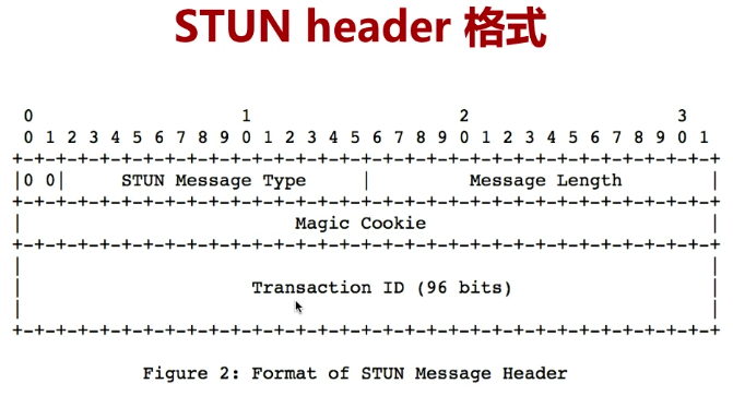 P2P学习（三）网络传输基本知识---STUN协议（一）