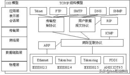 TCP/IP 结构模型/Internet 协议（IP）/传输控制协议（TCP）