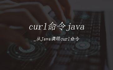 curl命令java_从Java调用curl命令"