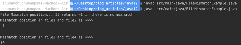 Java 文件不匹配示例程序输出