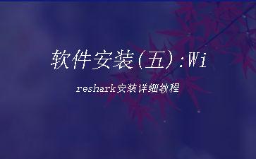 软件安装(五):Wireshark安装详细教程"