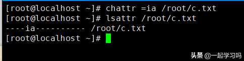 Linux 设置修改文件的扩展属性命令：chattr, lsattr