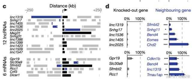 Nature：lncRNA竟然不依赖于序列起作用！