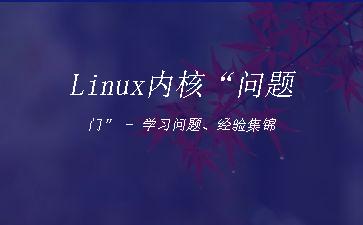 Linux内核“问题门”