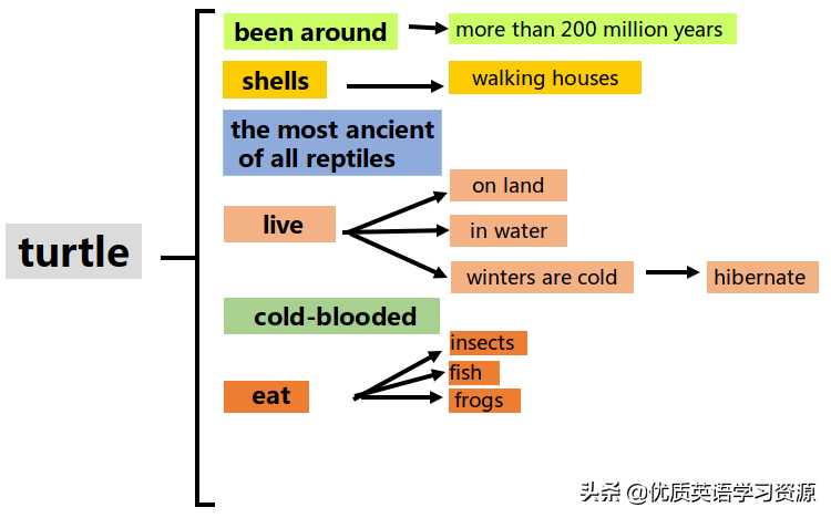 英语原版阅读：Talking about turtles