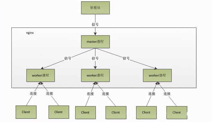 nginx 多进程 + io多路复用 实现高并发