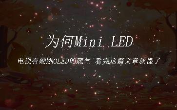 为何Mini