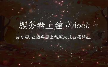 服务器上建立docker作用,在服务器上利用Docker搭建ASF"