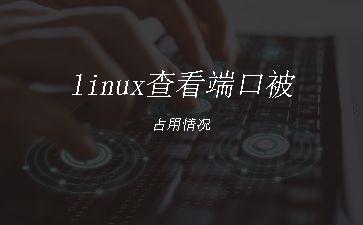 linux查看端口被占用情况"