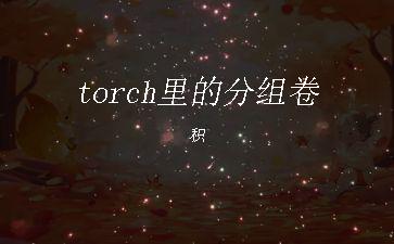 torch里的分组卷积"