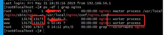 nginx 多进程 + io多路复用 实现高并发