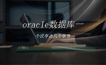 oracle数据库一个汉字占几个字节"