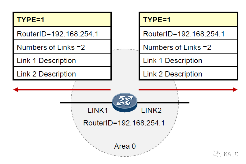 OSPF协议原理简析