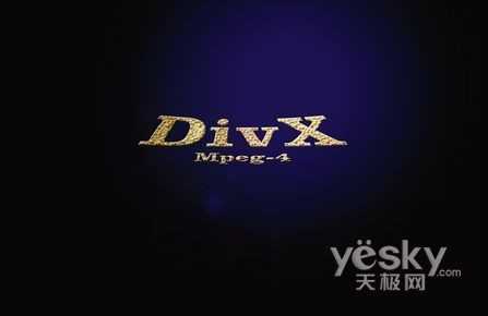 DivX/XviD格式