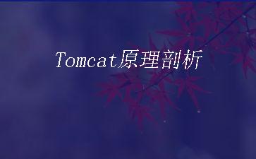 Tomcat原理剖析"