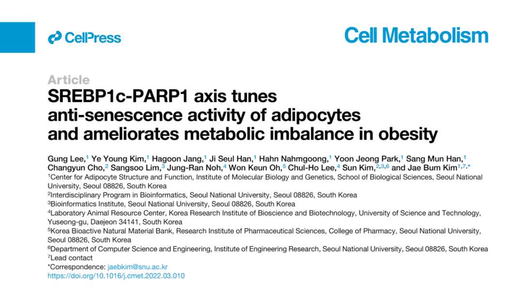 脂肪细胞衰老与肥胖及胰岛素抵抗：SREBP1c-PARP1轴调控DNA修复