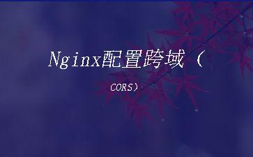 Nginx配置跨域（CORS）"