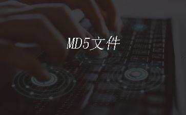 MD5文件"