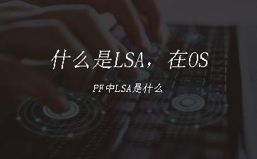 什么是LSA，在OSPF中LSA是什么"