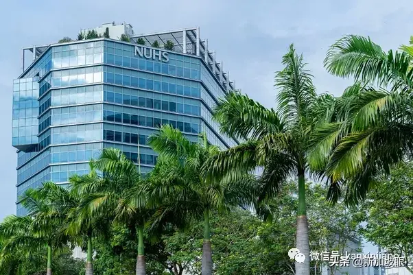 字节跳动在新加坡CBD设3层楼的办公室，月租可能达78万新币