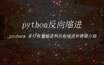 python反向缩进_pycharm
