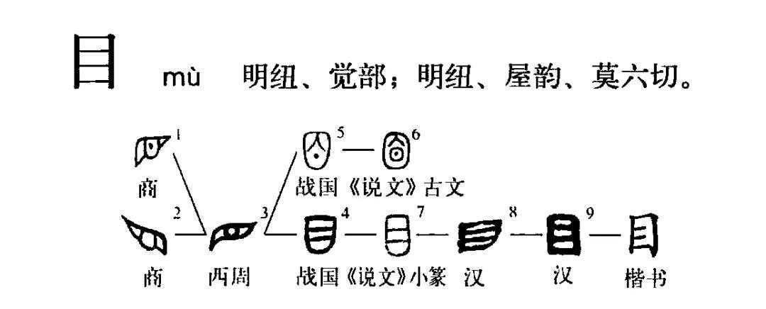 有趣的词源旅行。31