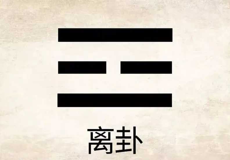 《说文解字》第706课：细说“離”字，“离开”的黄鹂