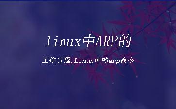 linux中ARP的工作过程,Linux中的arp命令"