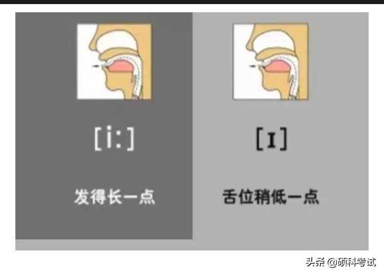 英语48个音素发音图解口形及发音方法，很实用，收藏好！