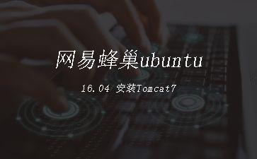 网易蜂巢ubuntu16.04