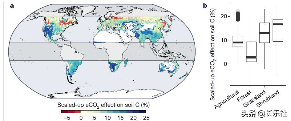 高浓度二氧化碳下植物和土壤碳储存的权衡