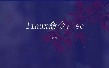 linux命令：echo"