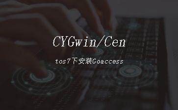 CYGwin/Centos7下安装Goaccess"