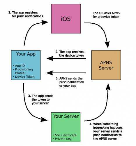iOS 开发之实现 App 消息推送（最新）